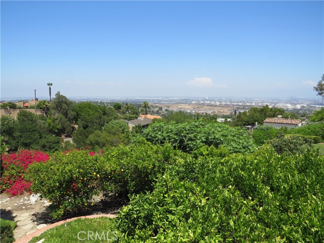 Detail Gallery Image 13 of 34 For 2507 Sunnyside Ridge Rd, Rancho Palos Verdes,  CA 90275 - 4 Beds | 3 Baths