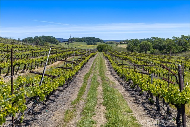 Detail Gallery Image 31 of 51 For 7875 Adobe Creek Rd, Kelseyville,  CA 95451 - 4 Beds | 4 Baths