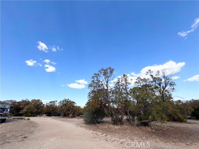 45080 Terwilliger Road, Anza CA: https://media.crmls.org/medias/6138baad-ff8e-4a89-9b73-aae85c56c034.jpg