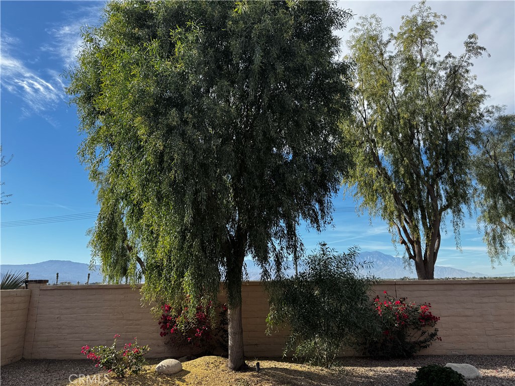 MLS #PW25274436 image #14