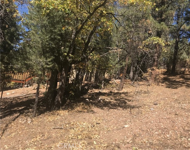 0 Sheephorn Rd, Big Bear City, California 92315, ,Land,For Sale,0 Sheephorn Rd,CRIG21227250