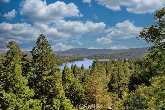 Detail Gallery Image 67 of 69 For 750 Zurich Dr, Lake Arrowhead,  CA 92352 - 4 Beds | 4/1 Baths