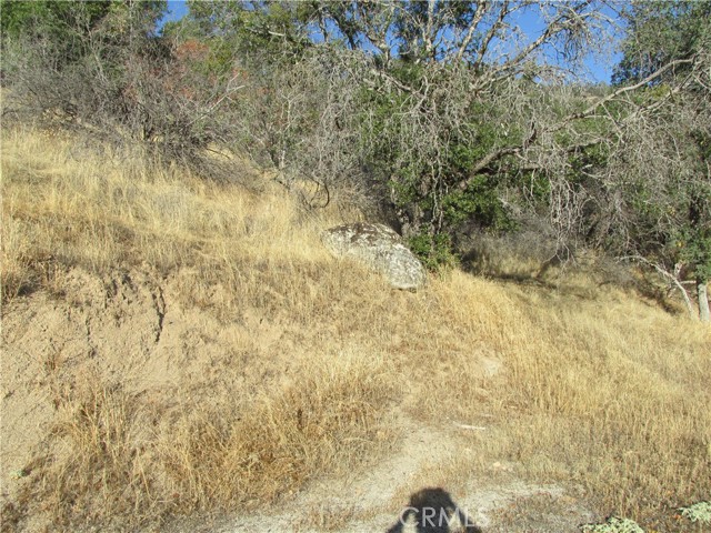 2 Old Oaks Court, North Fork, California 93643, ,Land,For Sale,2 Old Oaks Court,CRFR23180860