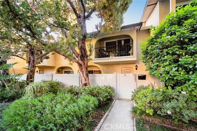 Front Image Thumbnail for CRWS25275948