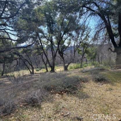 0 Possum Lane, Berry Creek, California 95916, ,Land,For Sale,0 Possum Lane,CRLC24043453