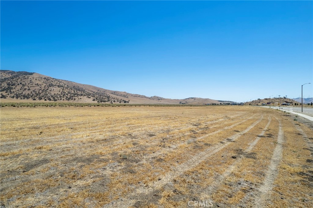 MLS #PI25096273 img 1