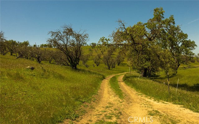 2 Geneseo Road, Paso Robles, California 93446, ,Land,For Sale,2 Geneseo Road,CRNS23196966