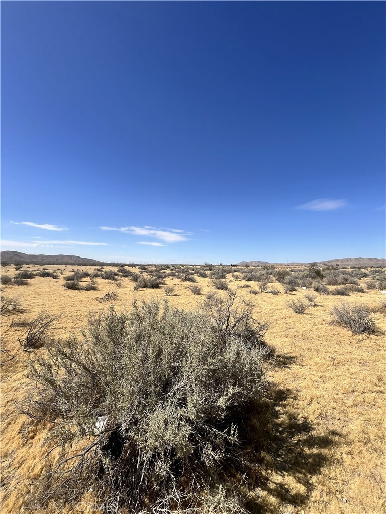 MLS #HD25222307 image #1