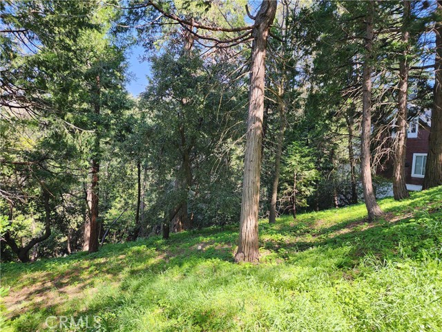 Detail Gallery Image 13 of 21 For 811 Deer Trl, Crestline,  CA 92325 - – Beds | – Baths