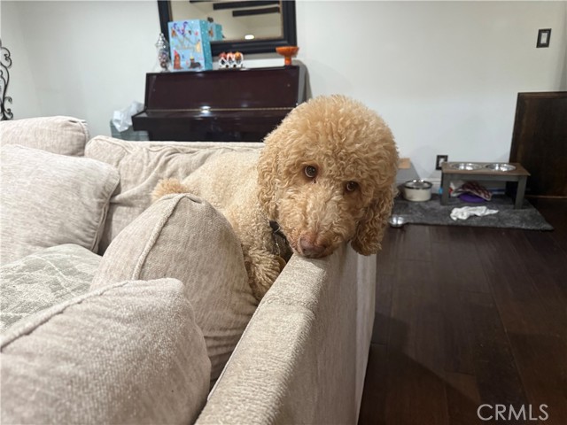 Detail Gallery Image 34 of 35 For 716 N Grand #D-3,  Covina,  CA 91724 - 2 Beds | 1 Baths