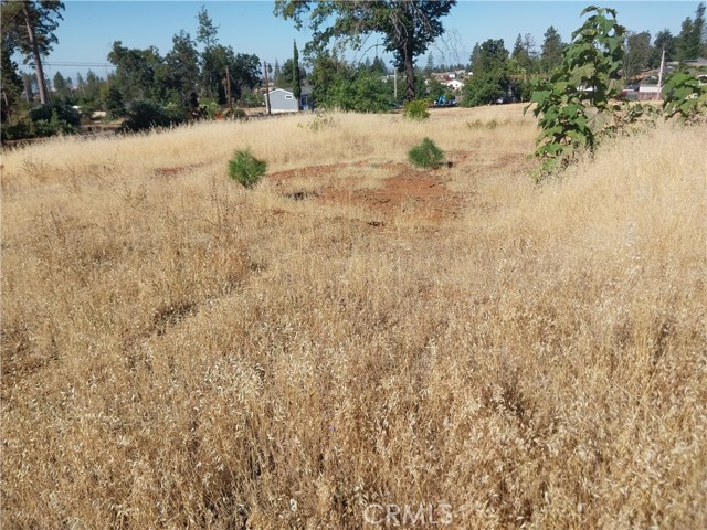 5775 Waco Lane Lane, Paradise CA: https://media.crmls.org/medias/617056e5-f47a-44c2-806a-5fb7b0f84333.jpg