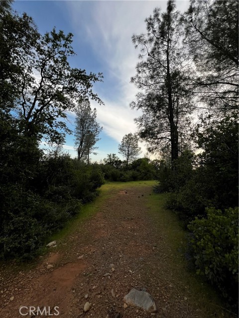 Detail Gallery Image 9 of 9 For 0 Donkey Mine Rd, Oak Run,  CA 96069 - – Beds | – Baths