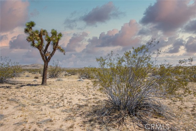 Detail Gallery Image 1 of 16 For 4444 Cielito Dr, Joshua Tree,  CA 92252 - – Beds | – Baths