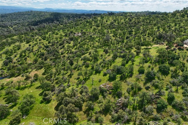 Detail Gallery Image 47 of 50 For 42625 Red Top Mountain Ct, Coarsegold,  CA 93614 - 3 Beds | 2 Baths