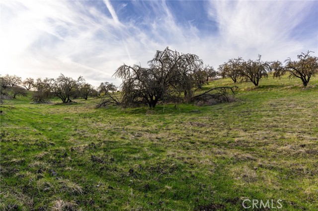 Detail Gallery Image 31 of 32 For 0 Caballo, Paso Robles,  CA 93446 - – Beds | – Baths