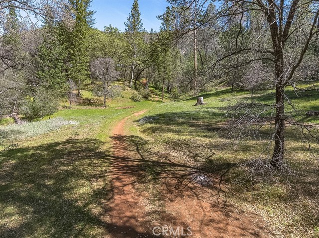 Detail Gallery Image 38 of 75 For 4743 Buffalo Gulch Rd, Midpines,  CA 95345 - – Beds | – Baths