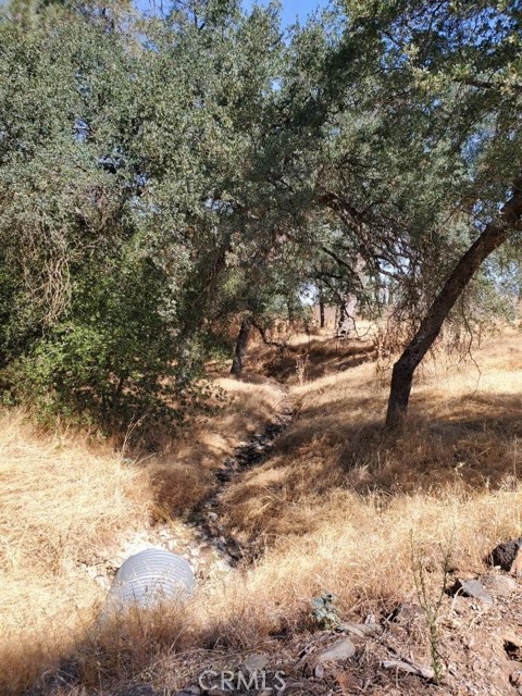 2418 El Toro Road, Catheys Valley, CA, 95306 2418 El Toro Road, Catheys Valley, CA, 95306