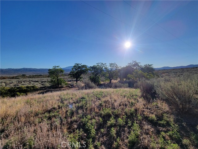 Detail Gallery Image 33 of 46 For 44451 Jay Dr, Anza,  CA 92539 - 3 Beds | 2 Baths