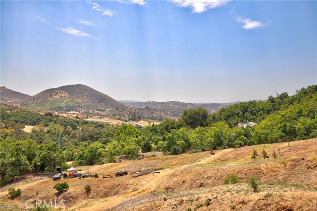 32840 Lilac, Valley Center, California 92082, ,Residential Land,For Sale,Lilac,OC24158908