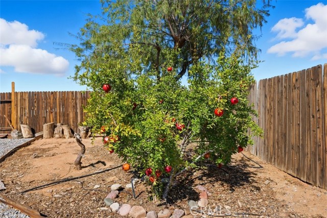 21268 Chardonnay, Apple Valley CA: https://media.crmls.org/medias/619025b5-2168-484f-9421-611945e03f5e.jpg