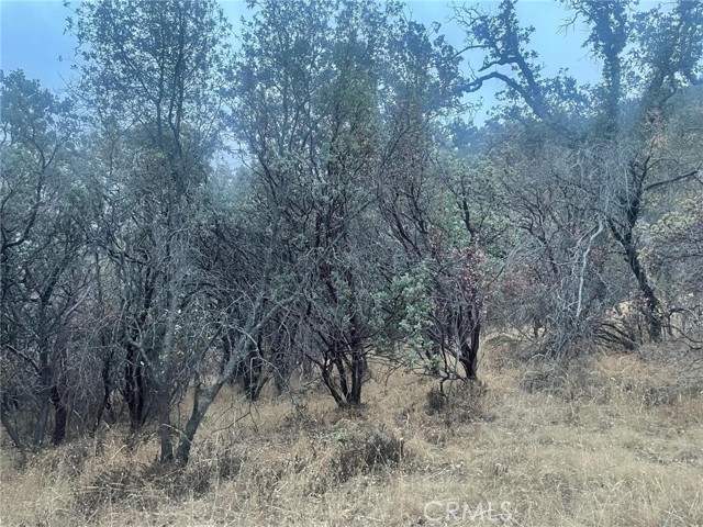 Detail Gallery Image 13 of 19 For 43020 Apache Ranch Rd, Ahwahnee,  CA 93601 - – Beds | – Baths