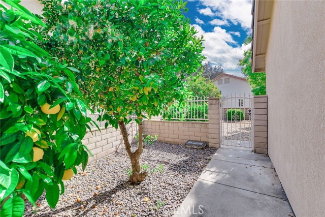 Detail Gallery Image 31 of 32 For 1814 Balsawood Dr, Hemet,  CA 92545 - 3 Beds | 2 Baths