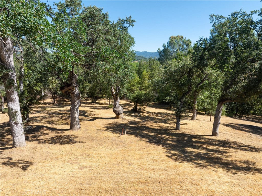 https://media.crmls.org/medias/619ba9e7-4443-4d4f-8fe8-055095c7d619.jpg?preset=X-Large