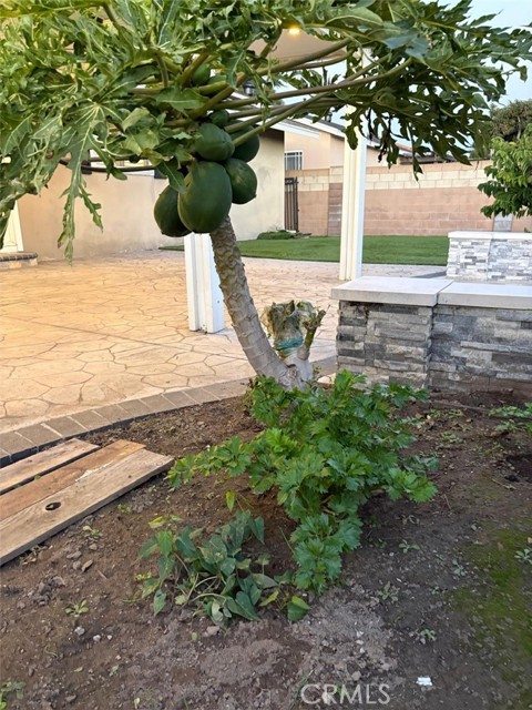 Detail Gallery Image 23 of 25 For 5410 W Davit Ave, Santa Ana,  CA 92704 - 4 Beds | 2 Baths