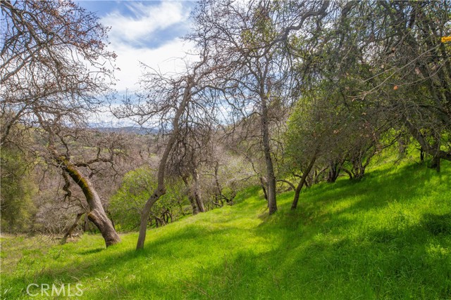 Detail Gallery Image 44 of 55 For 51859 Sesame, Squaw Valley,  CA 93675 - 2 Beds | 2 Baths