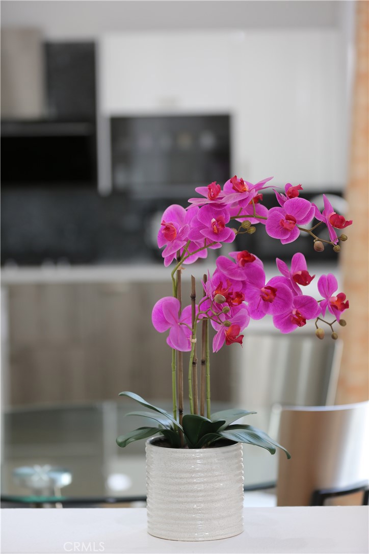 MLS #GD25254055 image #8