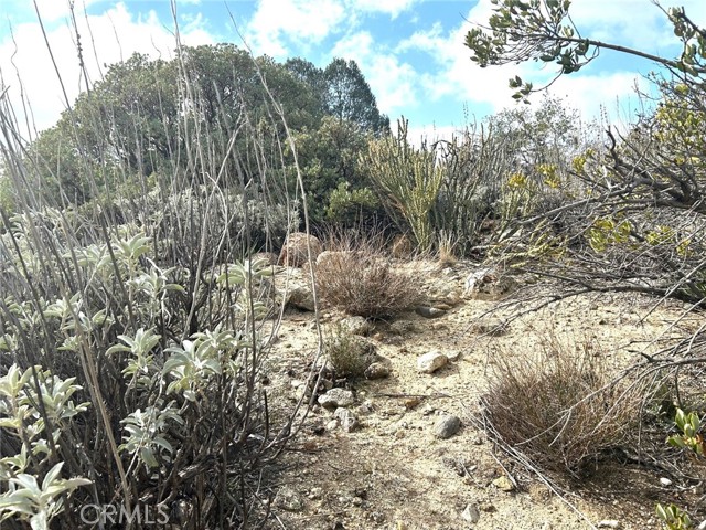 Detail Gallery Image 26 of 29 For 0 Oak Rd, Anza,  CA 92539 - – Beds | – Baths