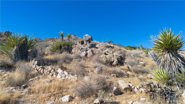 Detail Gallery Image 50 of 53 For 8775 via Rocosa Rd, Joshua Tree,  CA 92252 - 3 Beds | 2/1 Baths