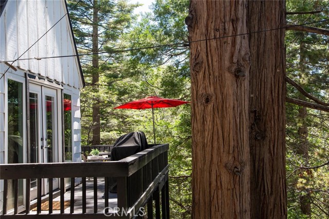 back deck from the french doors