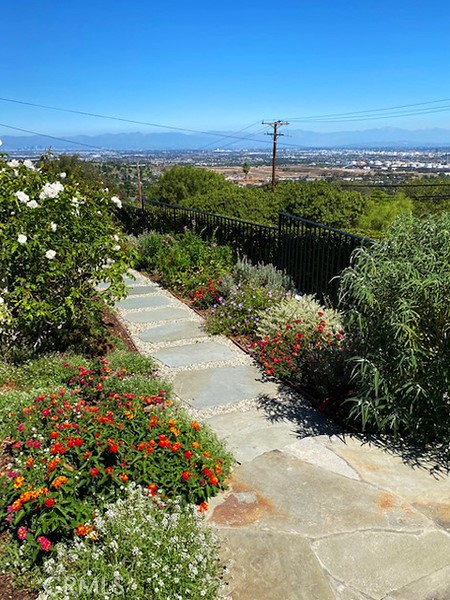 Side walkway to rear garden area