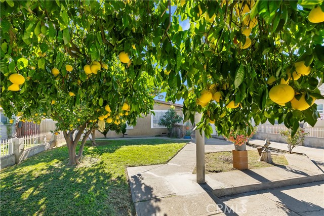 Detail Gallery Image 4 of 29 For 231 W 24th St, San Bernardino,  CA 92405 - 2 Beds | 1/1 Baths