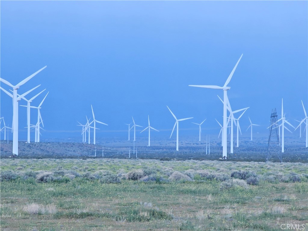 MLS #DW25235858 image #7