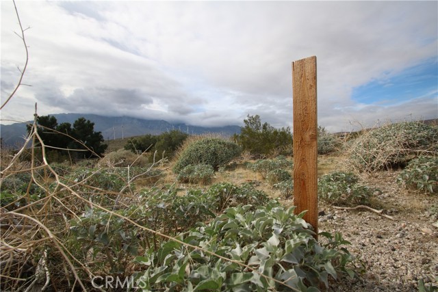 Detail Gallery Image 14 of 14 For 0 Painted Hills Rd, Whitewater,  CA 92282 - – Beds | – Baths