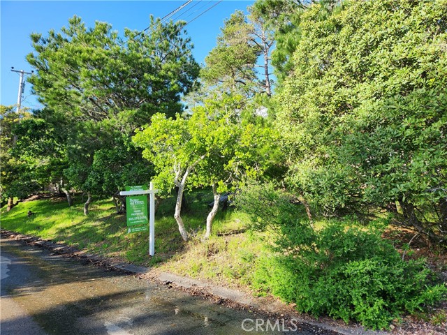 0 Norwich, Cambria, CA, 93428 0 Norwich, Cambria, CA, 93428