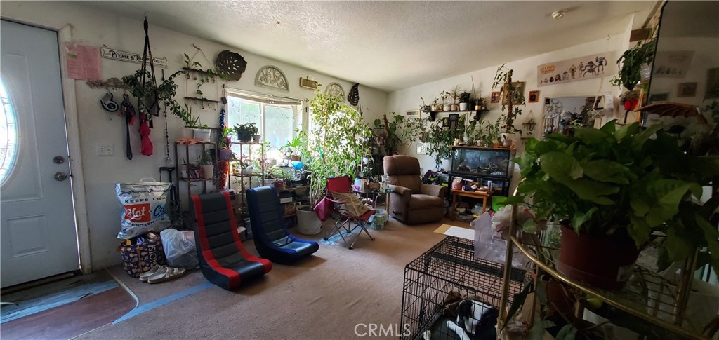 MLS #SN25165235 image #1