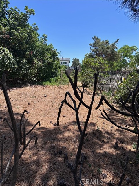 2009 W Las Lanas Lane, Fullerton CA: https://media.crmls.org/medias/61c125a5-688f-4445-91f0-4c66fcc1fc0a.jpg