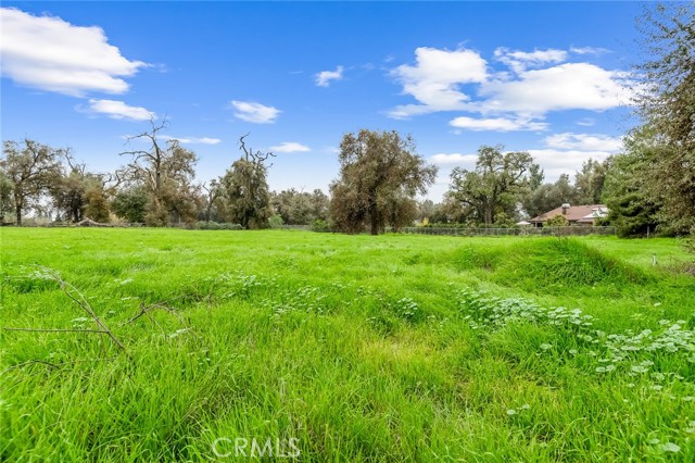 18701 Lort Drive, Visalia CA: https://media.crmls.org/medias/61c6b847-e6a4-4b19-acf2-501c1d77e8f2.jpg
