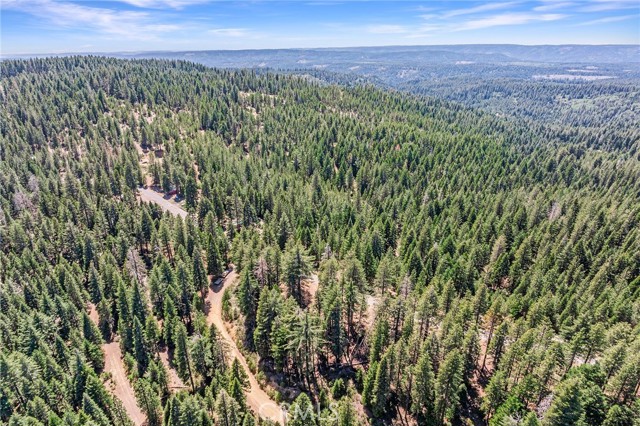 18727 Skyway, Stirling City CA: https://media.crmls.org/medias/61c8300d-b229-4815-95d6-4ba2cc688cb4.jpg