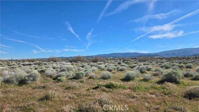 Detail Gallery Image 20 of 32 For 0 Ave C Vicinity 264th St W, –,  CA 93536 - – Beds | – Baths