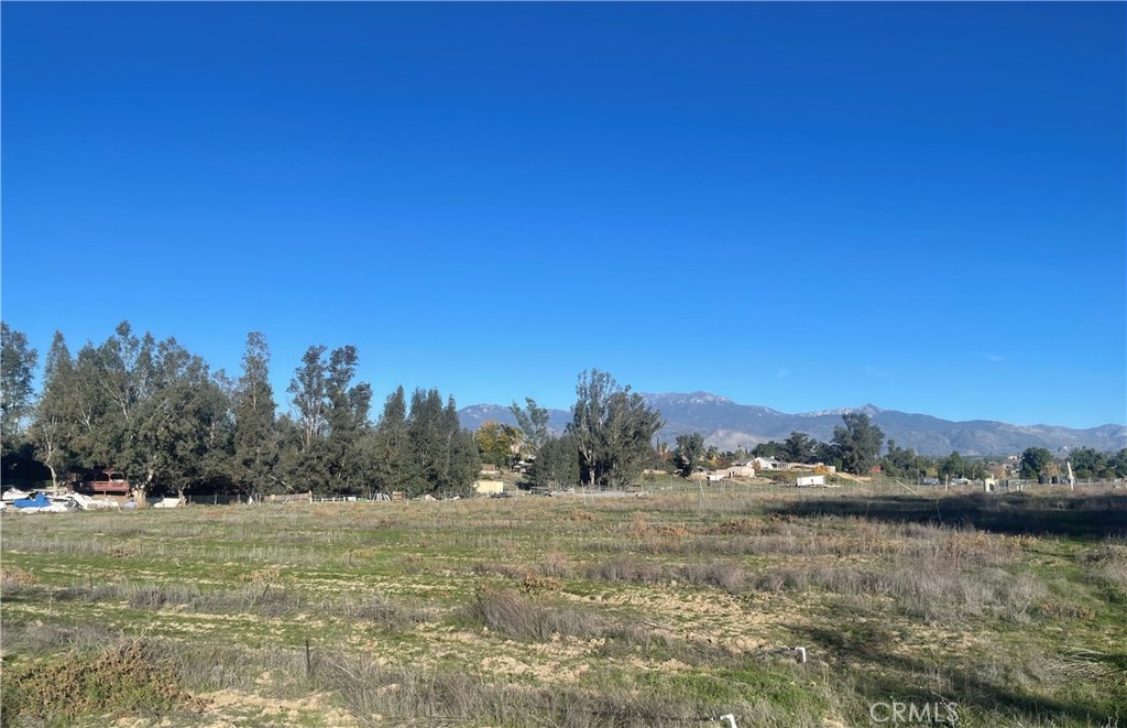 MLS #WS25276306 image #5