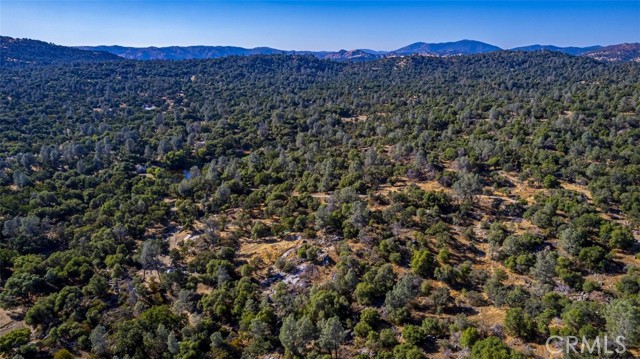 Detail Gallery Image 14 of 28 For 4200 Silver Lane Rd, Mariposa,  CA 95338 - – Beds | – Baths