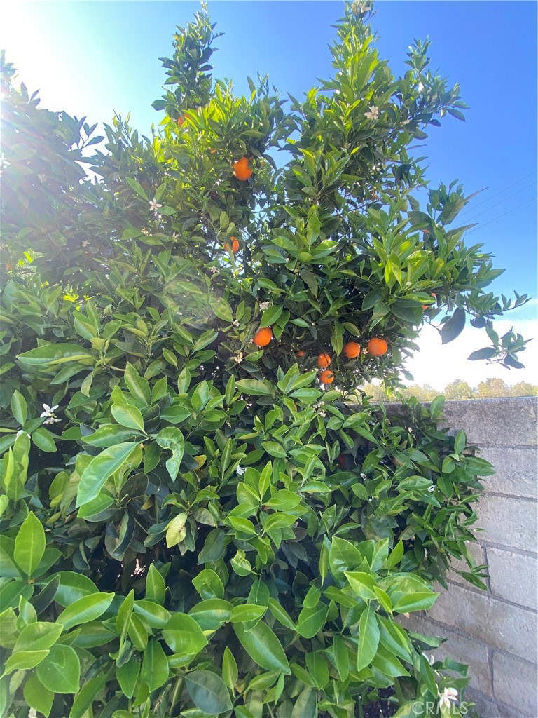 https://media.crmls.org/medias/61d394cc-8806-4a20-814a-7b41e7b41569.jpg?preset=X-Large