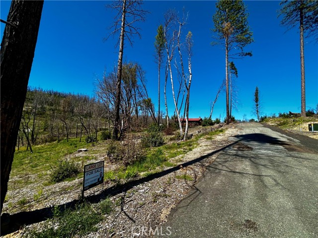 12 Azalea Lane, Berry Creek, California 95916, ,Land,For Sale,12 Azalea Lane,CRSN23072179