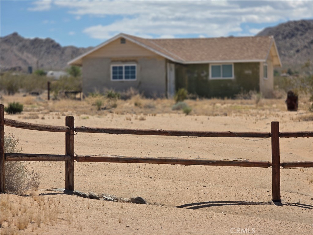 51033 Joshua Tree