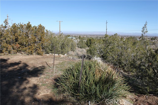 back yard view