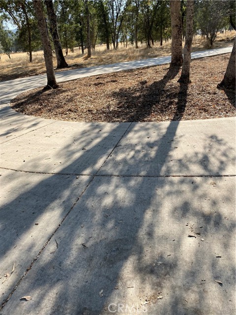 29503 Spence Lane, Tollhouse CA: https://media.crmls.org/medias/61dde4ef-642c-4a9e-b6d1-0430f22d8d65.jpg